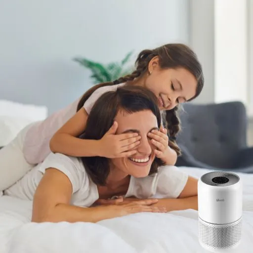 45W High Torque Motor with HEPA Sleep Mode | Best Air Purifier for Allergies 2024