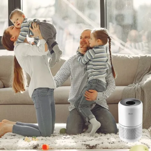 HEPA Sleep Mode | Best Air Purifier for Allergies